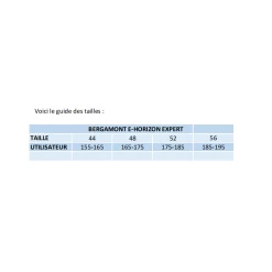 Bergamont E-Horizon Expert Amsterdam - 2022 3 Bergamont E-Horizon Expert Amsterdam - 2022 -Vélo de route Soldes bergamont e horizon expert amsterdam 2022 1