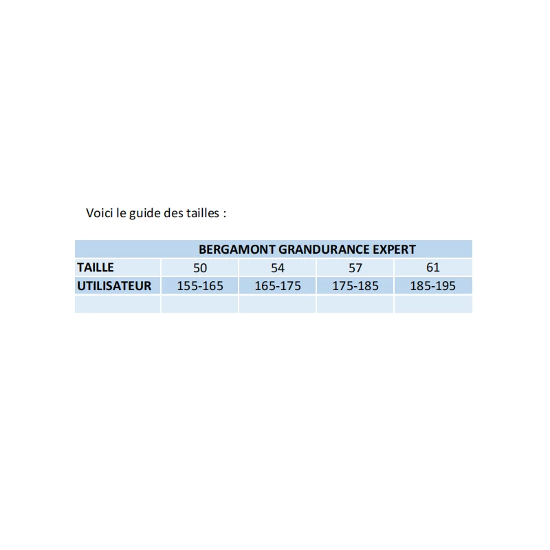 Bergamont Grandurance Expert - 2022 2 Bergamont Grandurance Expert - 2022 – Image 2