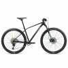 Orbea Alma H50 29 - 2021