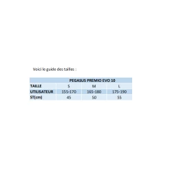 Pegasus Premio Evo 10 Lite Diamond - 2022